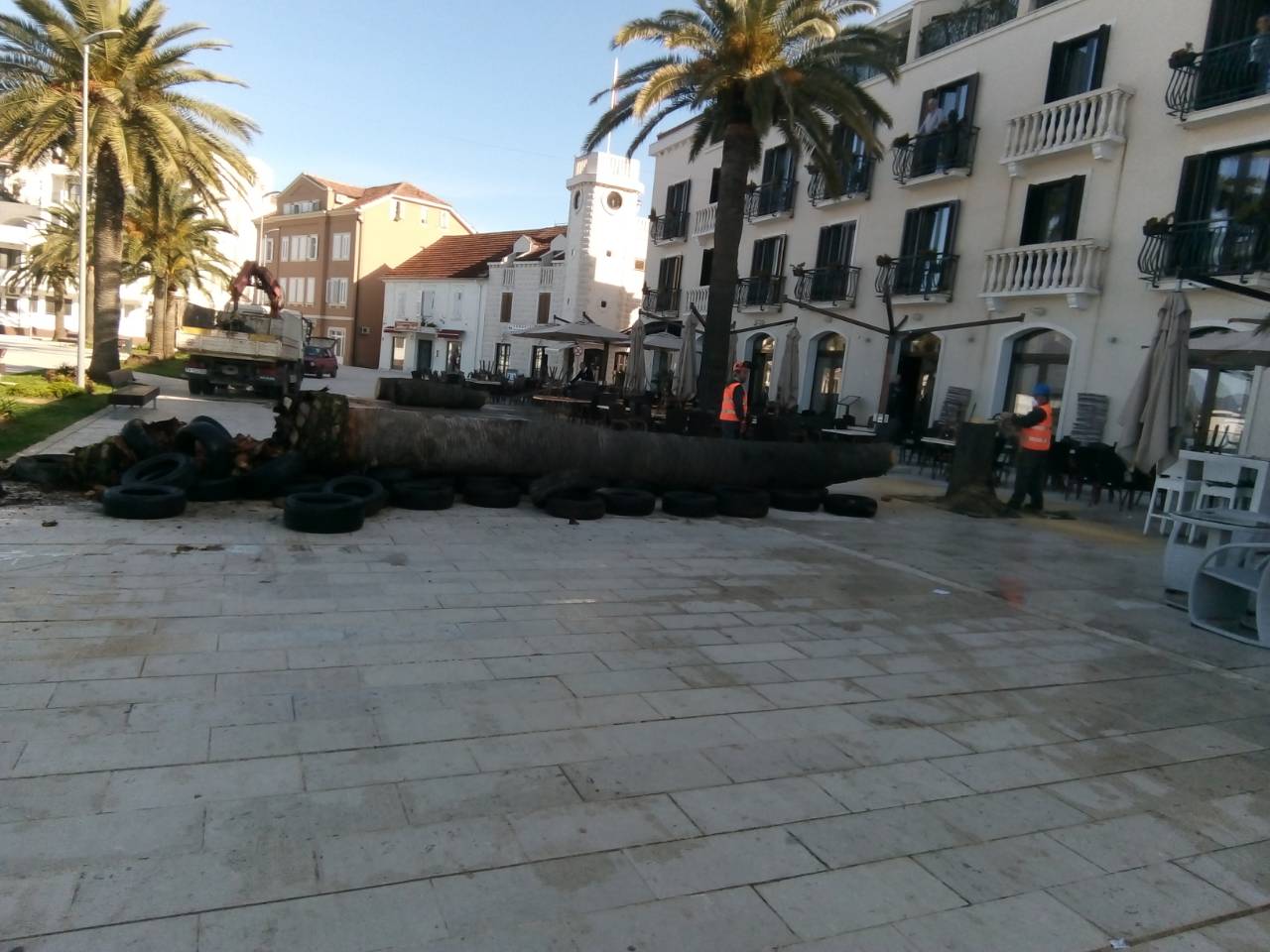 Nastavka uklanjanja palmi na pinama